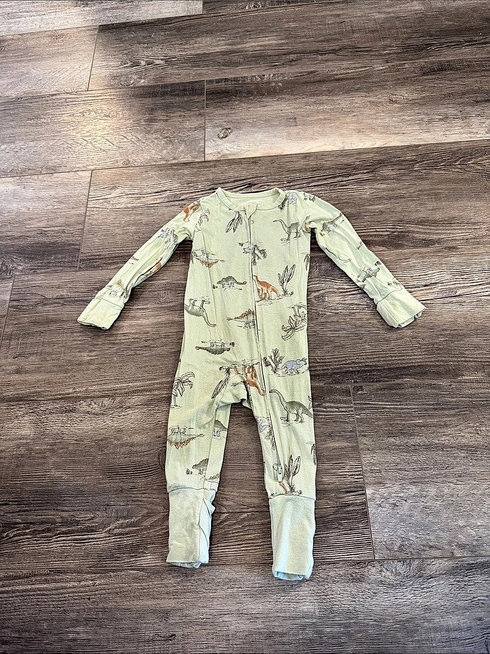 carter's PurelySoft Dinosaur Footie Size 9M Like New
